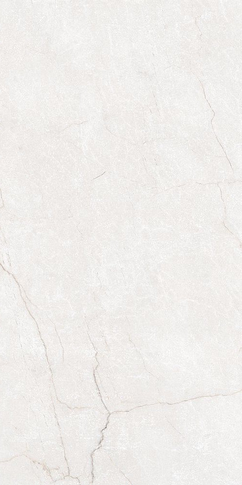 Classic Bianco Polished | 24"X48"