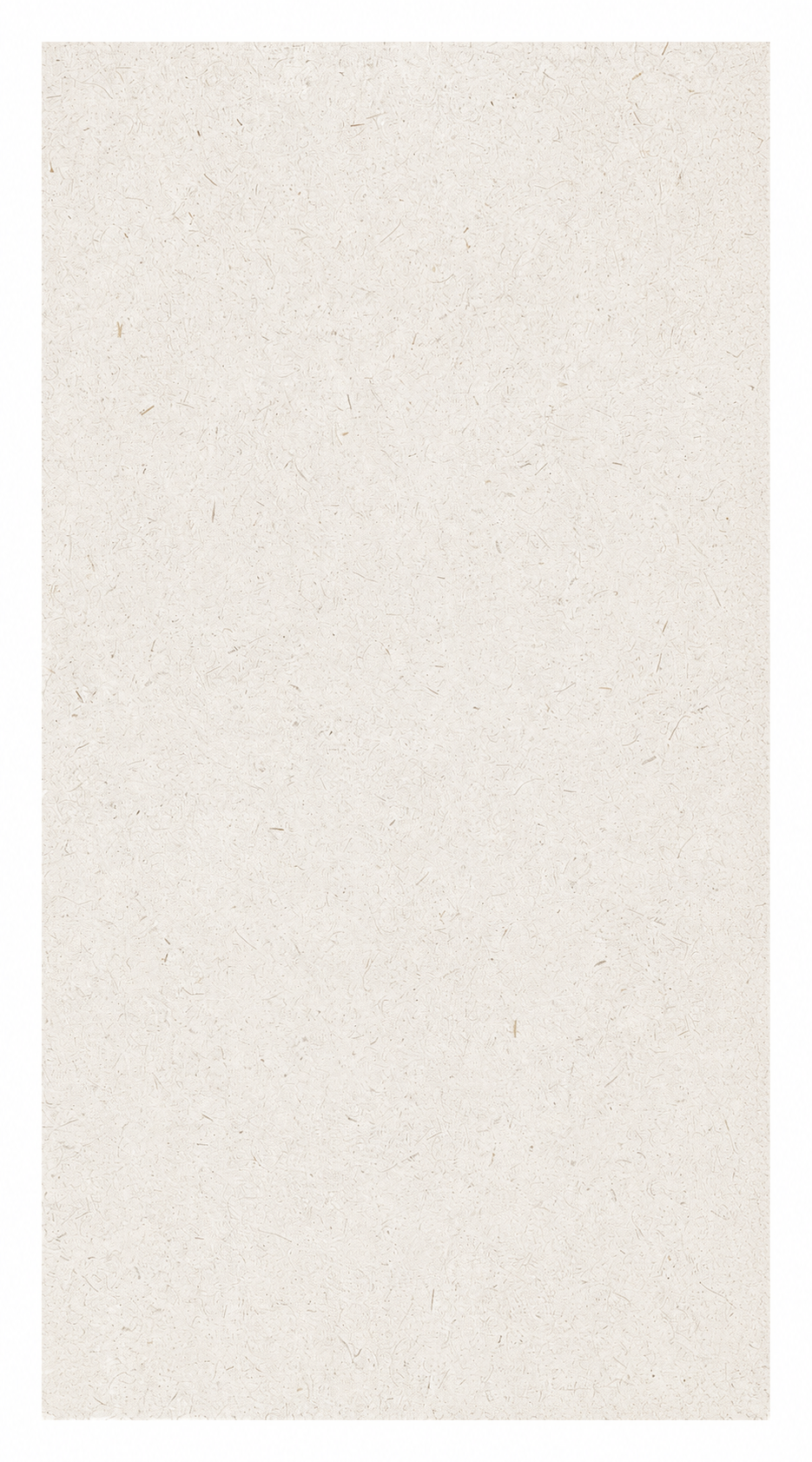 Washii Paper | 24"X48"