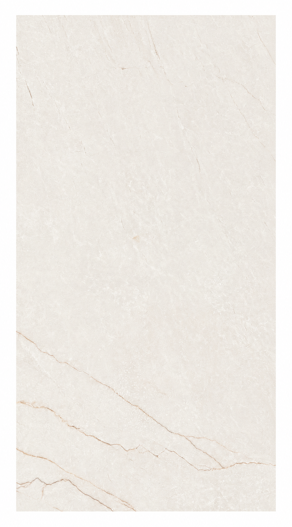 Classic Bianco Matte | 24"X48"