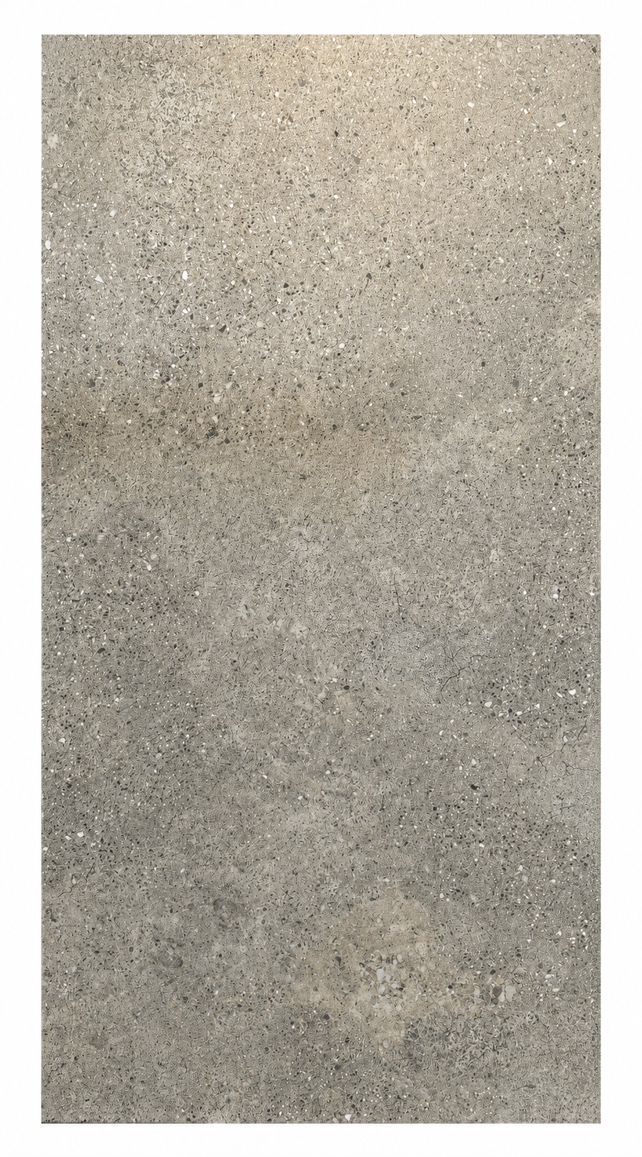 AVE612021MG | 24"X48"