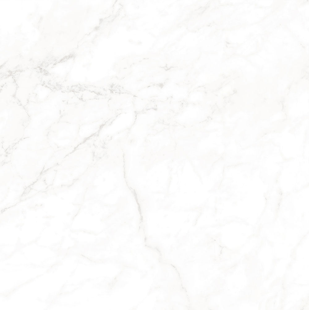 Bianco Carrara Honed | 24"X24"