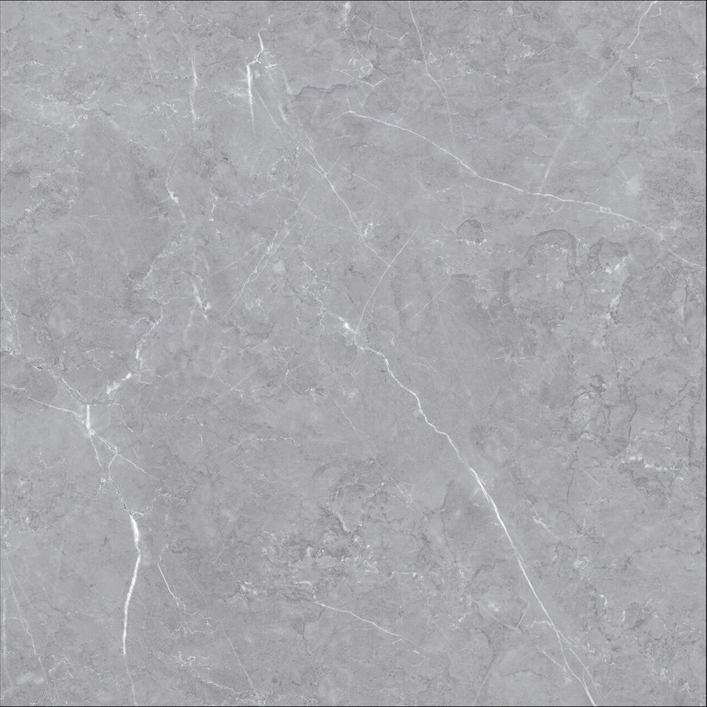 Bulgaria Grigio | 24"X24"