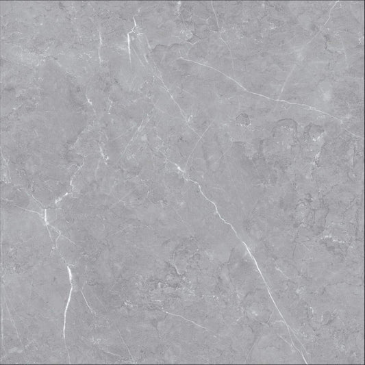 Bulgaria Grigio | 24"X24"