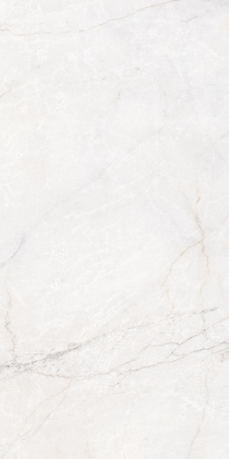Classic Bianco Matte | 24"X48"