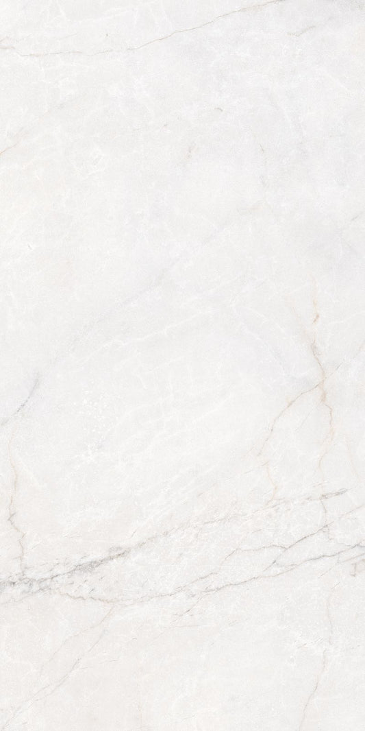 Classic Bianco Matte | 24"X48"
