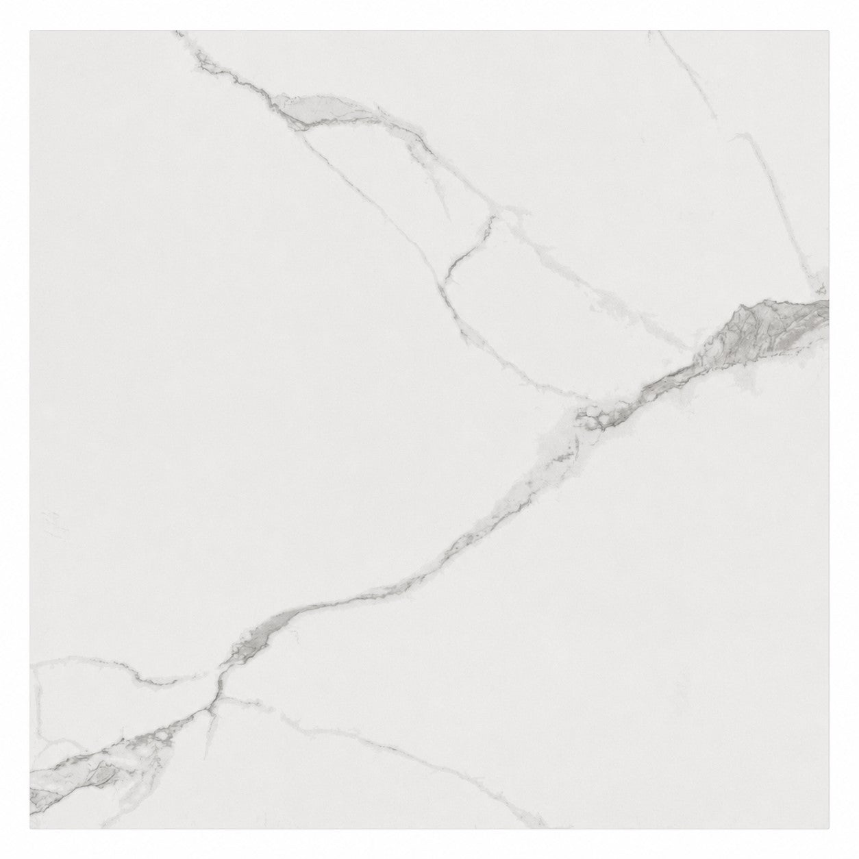 DS6015B | 24"X24"