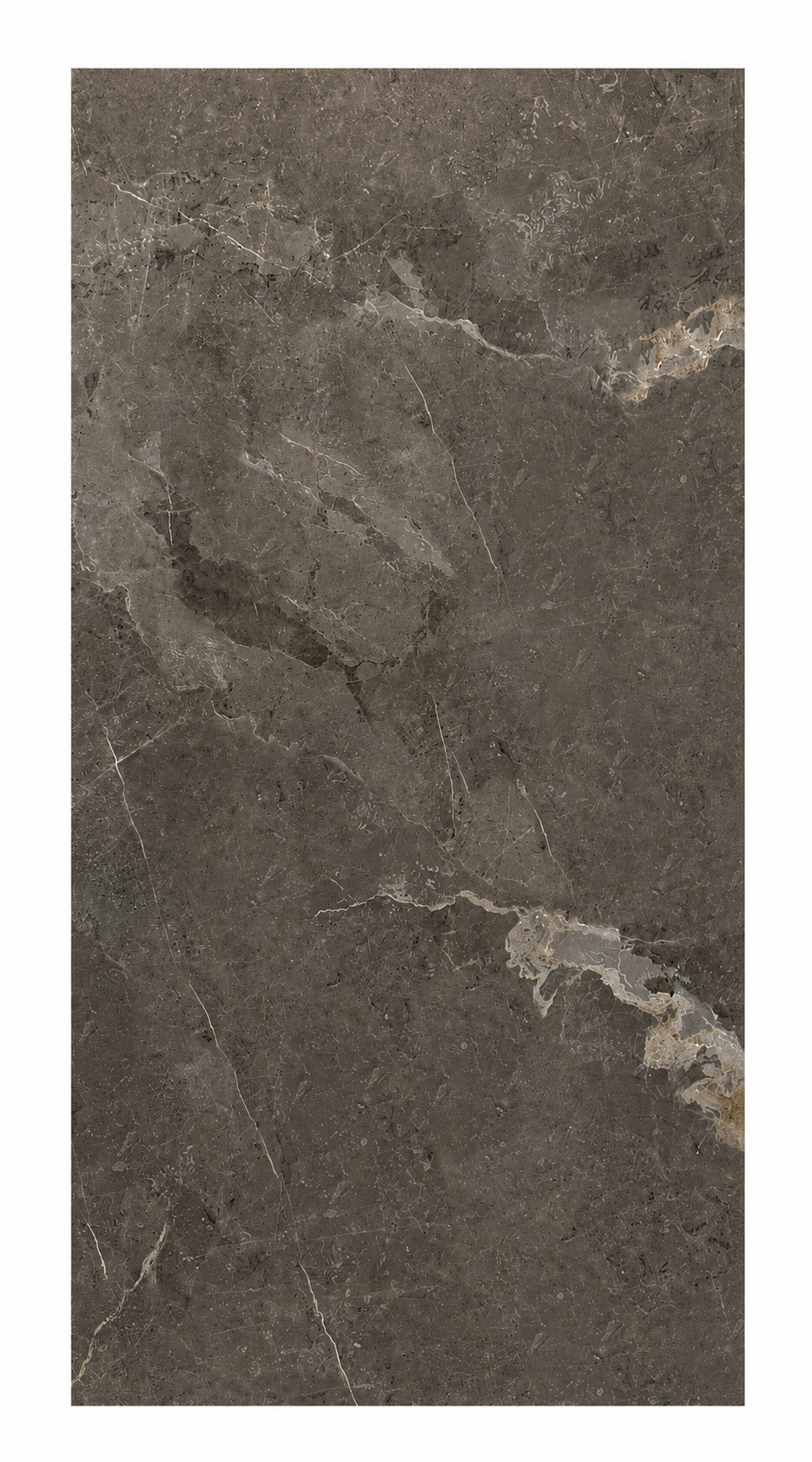 SL12FK08 | 24"X48"