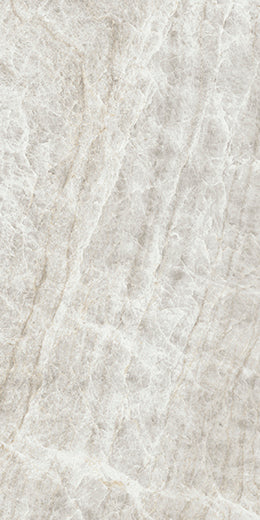 Taj Mahal Polished | 24"X48"