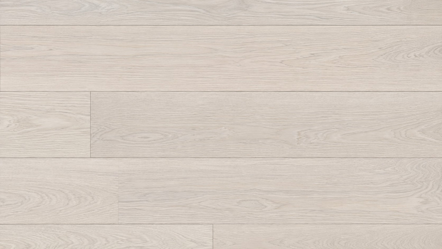 European White Ash - Seashell | Sizes Vary