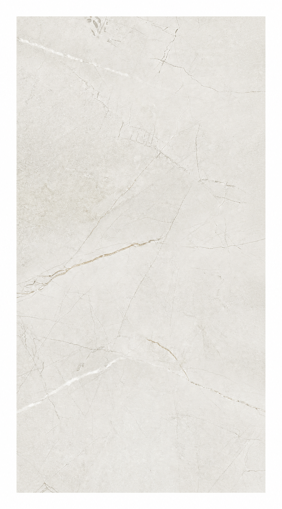 Memories Medley Pulpis Ivory Matte | 24"X48"