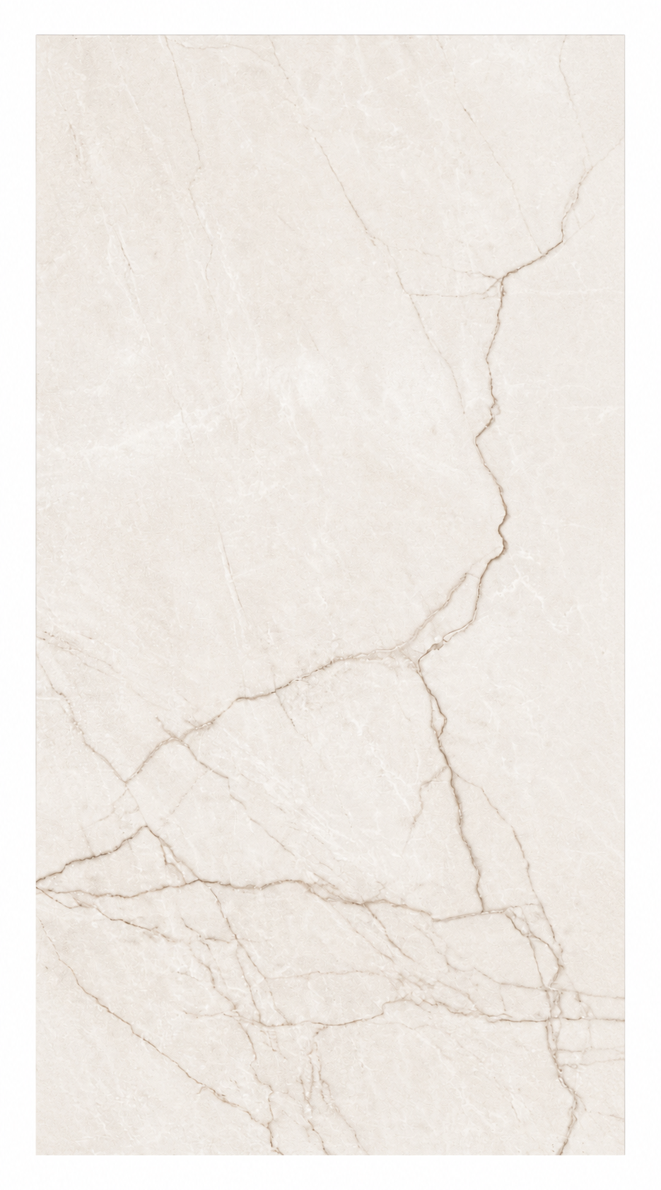 Classic Bianco Polished | 24"X48"