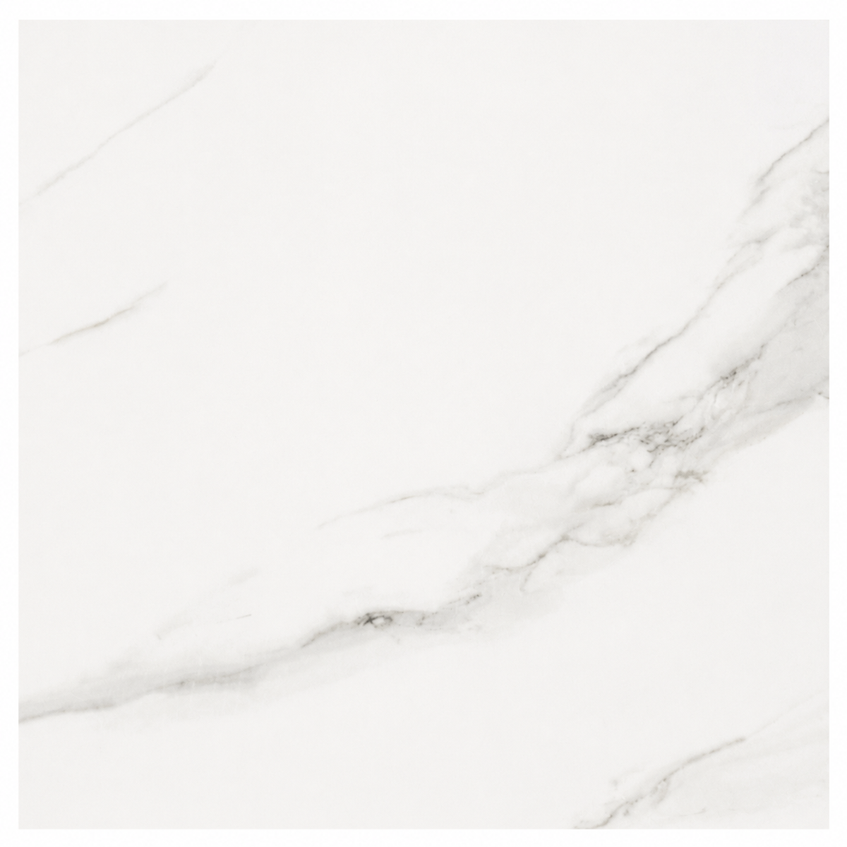TPOG60005 | 24"X24"