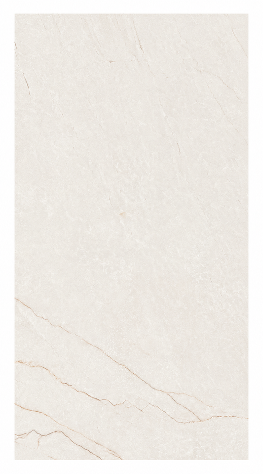 Classic Bianco Matte | 24"X48"